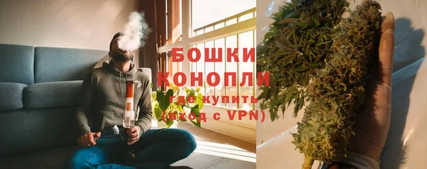 прущие грибы Красноперекопск