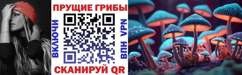 Псилоцибиновые грибы Cubensis  Петрозаводск 